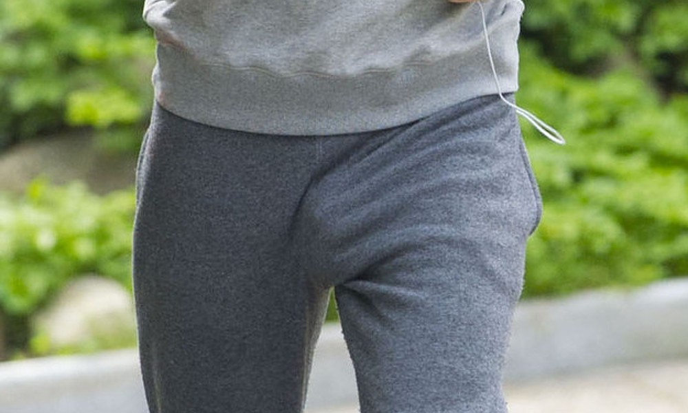 penis in grey pants